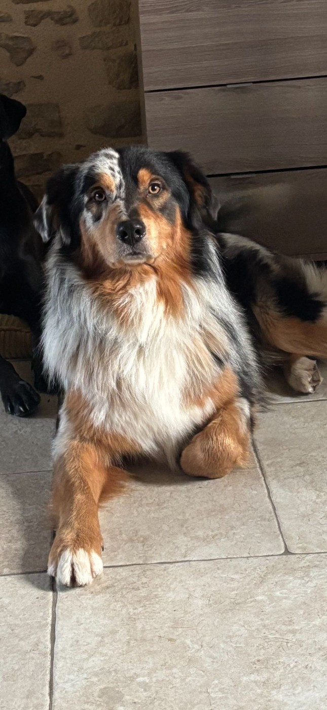 Vasco o'tantic du ménage O'tantic Du Ménage