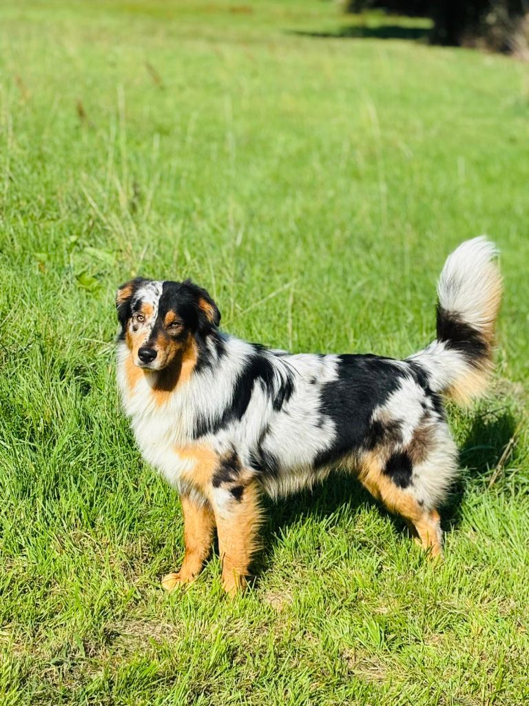 Vasco o'tantic du ménage O'tantic Du Ménage